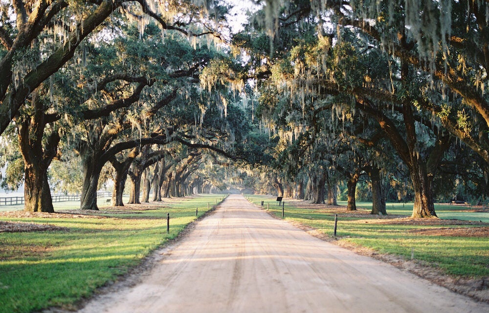 Low Country Love: Charleston