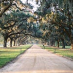 Low Country Love: Charleston